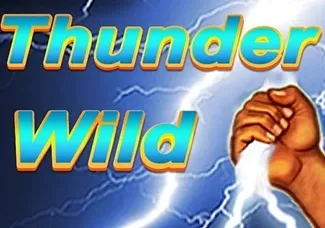 Thunder Wild game screenshot